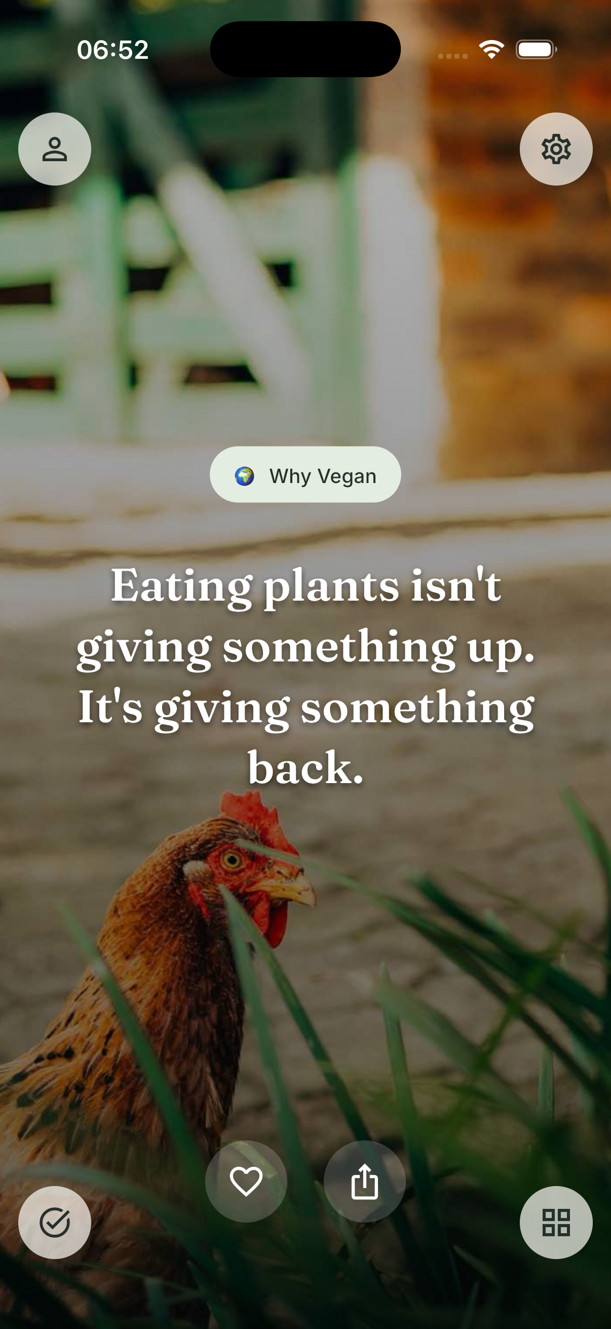 Why Vegan quote